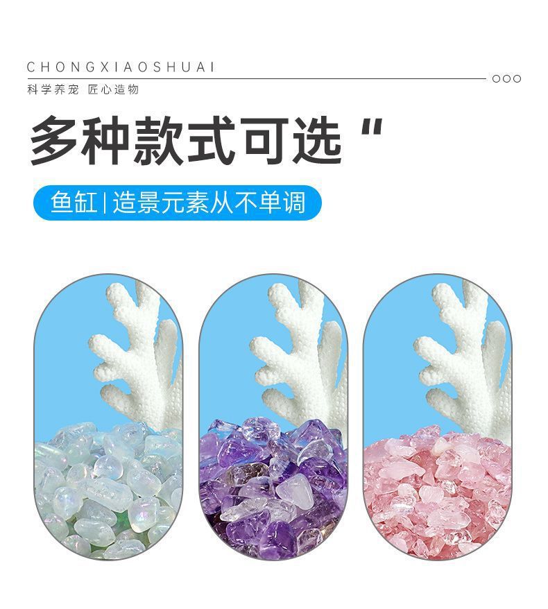 b6f26010-199e-4261-9561-7d866981fe89.jpe