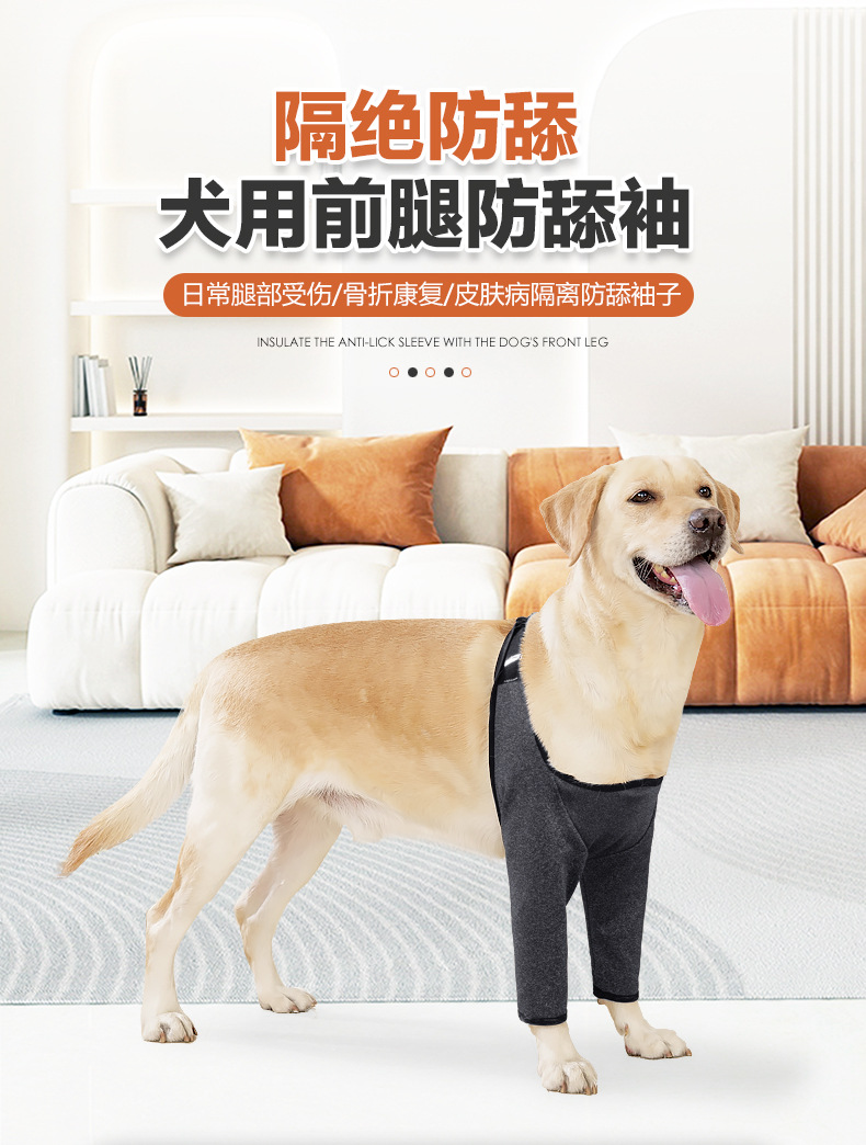 犬用防舔袖_01.jpg