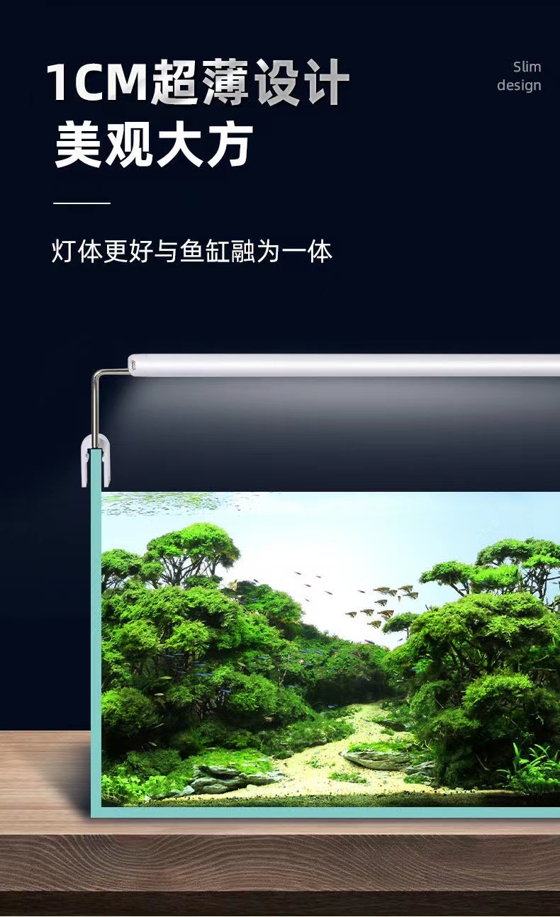 b673543b-8320-4cfb-881b-34915b867a06.jpe