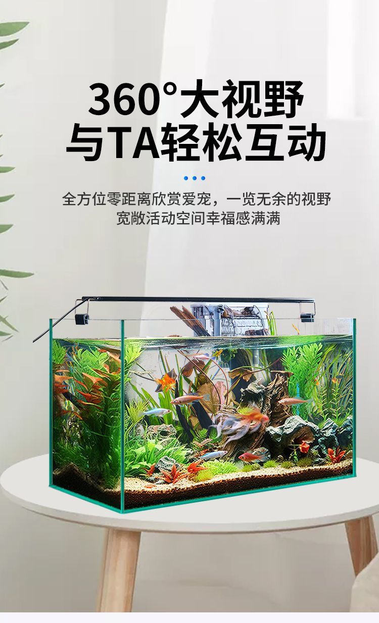 a0266012-82a9-411b-b6e4-75c9aa54ee2f.jpe