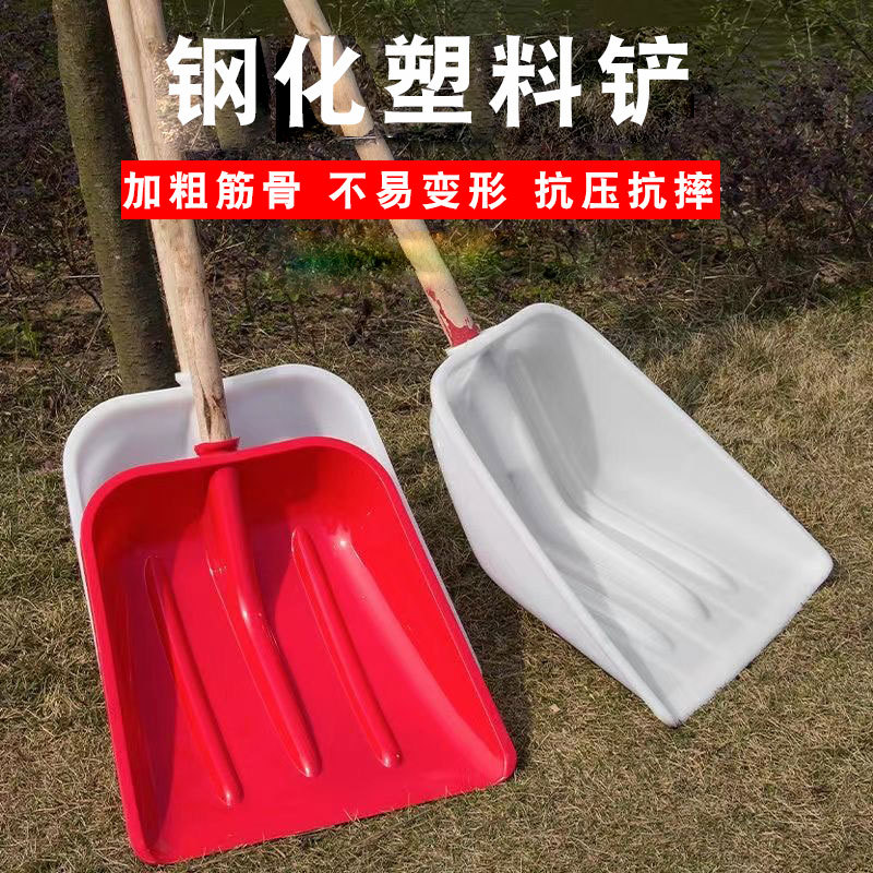 阿里-1.jpg