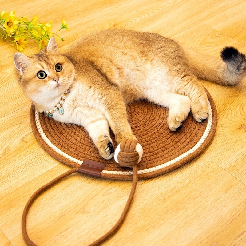 3fa8ba36-db10-44a9-a96b-dc6e87a9bb43.jpe