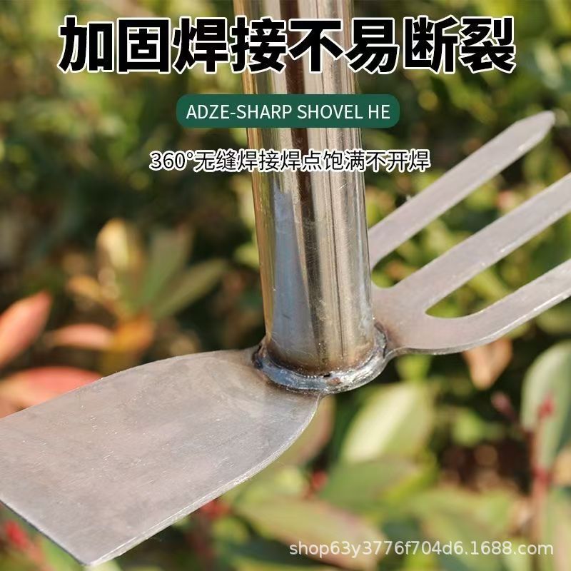 微信图片_20250415111549.jpg