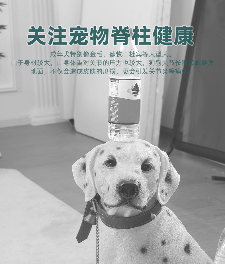 成年犬