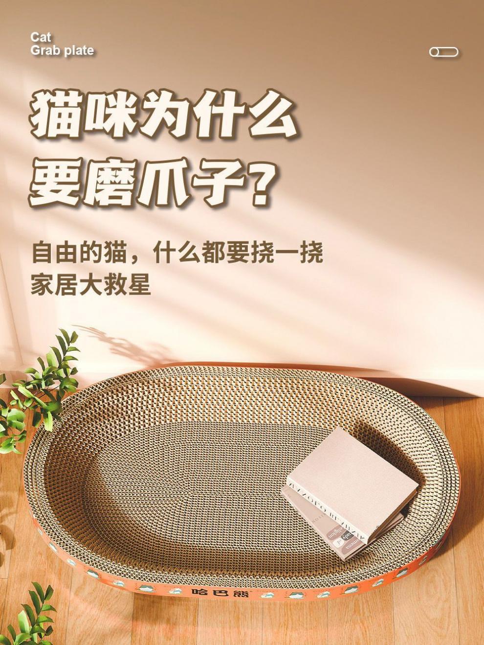 8713deca-3086-47d7-8747-5f317d513f54.jpe