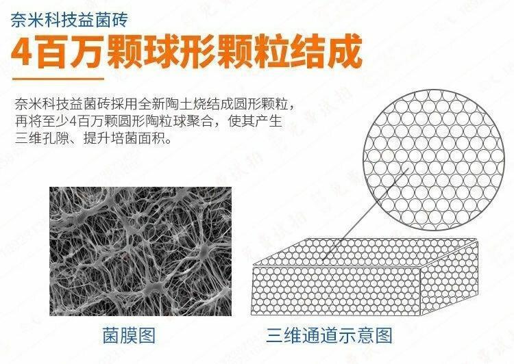 6c1071be-ba6a-40d8-a19c-deae00c19302.jpe