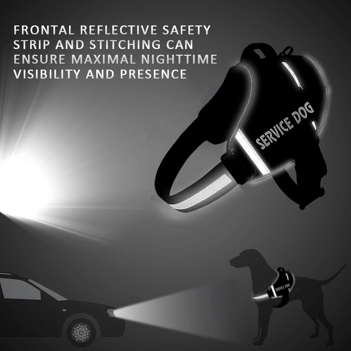 mmexport0693cb4ed233c4bb9d43ab