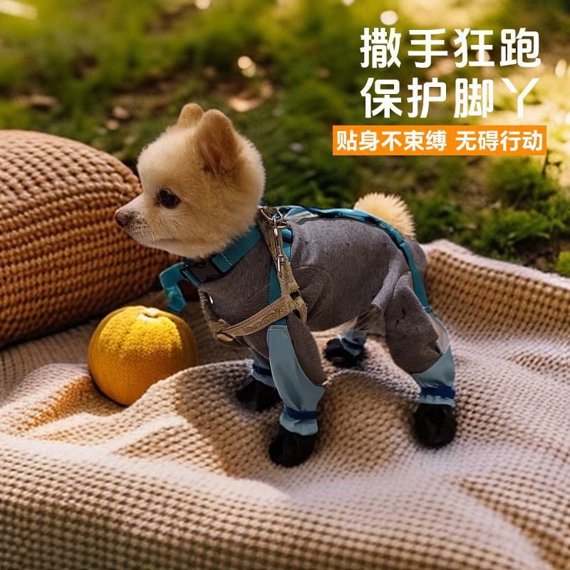 78a7aada-e688-4cce-bc41-a3fd6ffb09f5.jpe