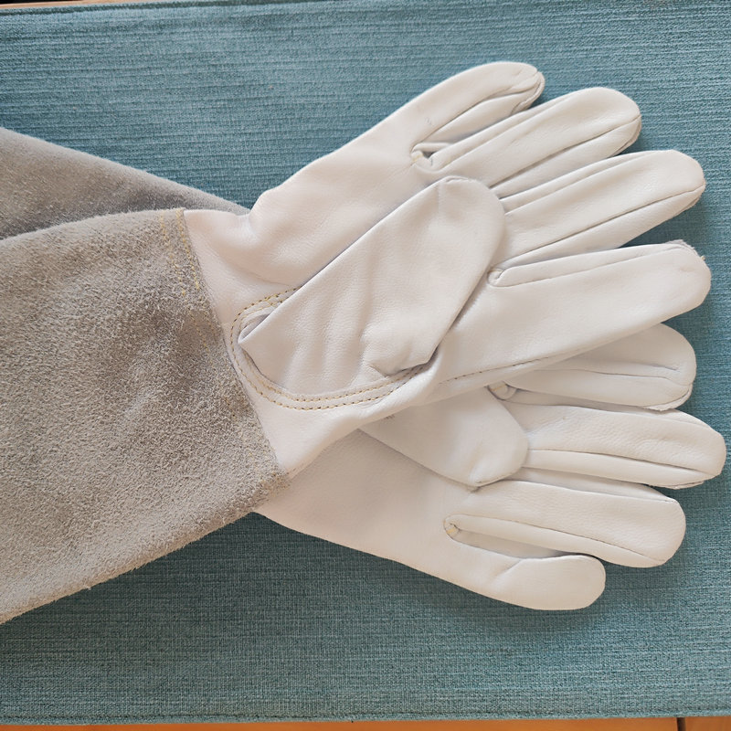 0352c3d5-0640-4c67-b2cd-4ad3d0