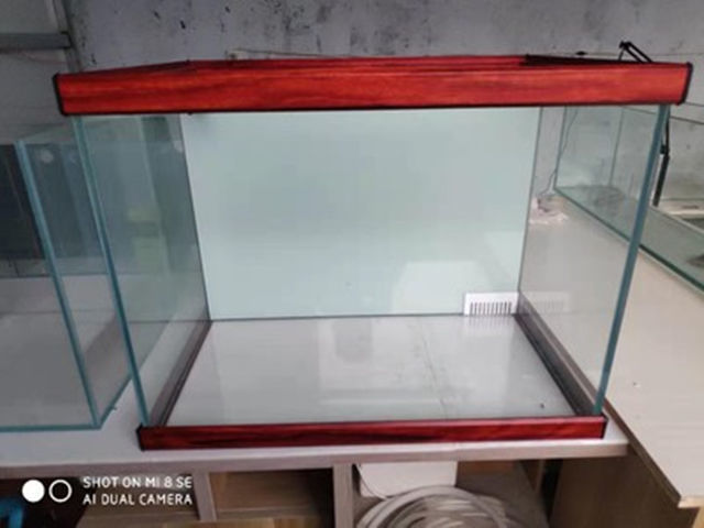 348cc8ff-430d-4713-b09e-32098ab44a5f.jpe