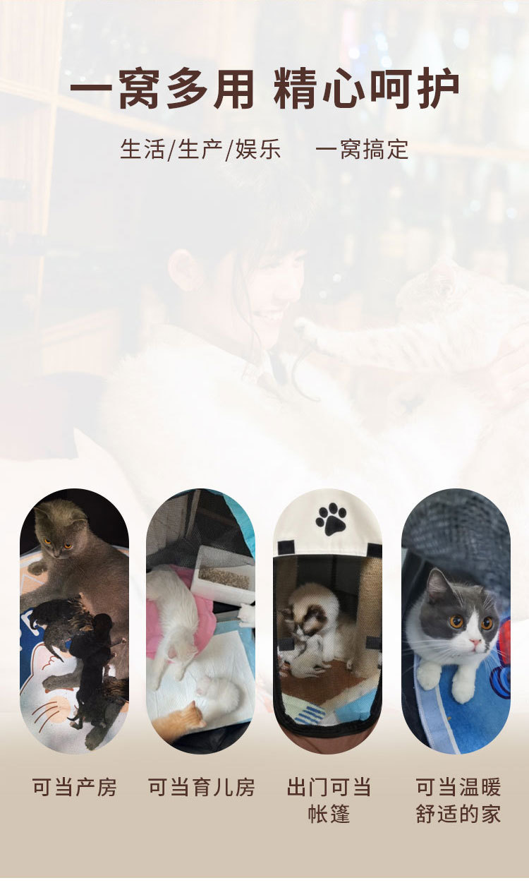 猫窝