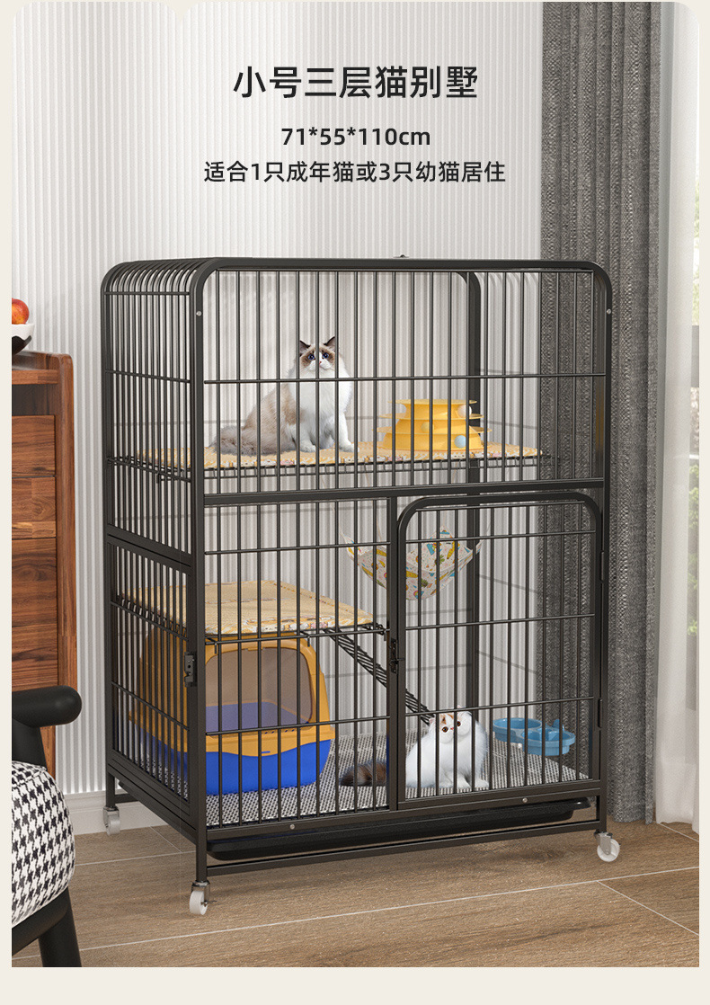 232fccec-a24d-4dcd-900e-3b89a09a40ae.jpe