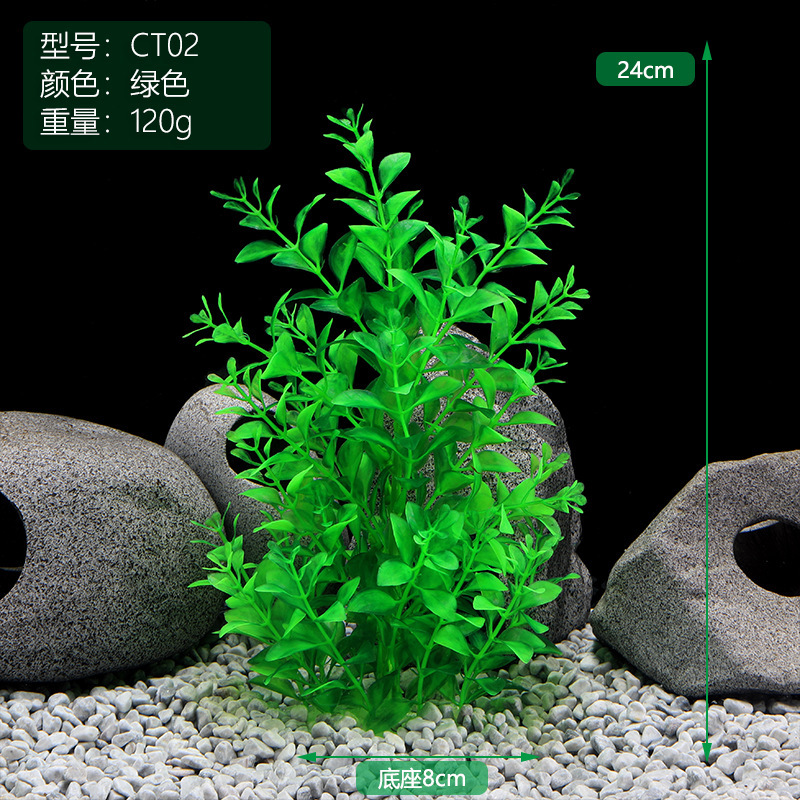 CT02绿色.jpg