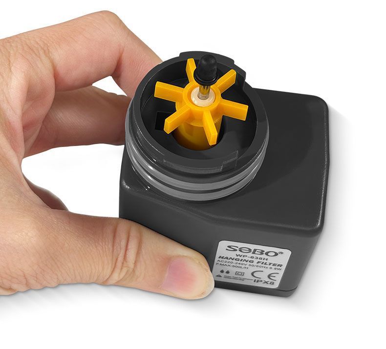 aa65edda-a51e-4617-9488-9ea47b54a69d.jpe