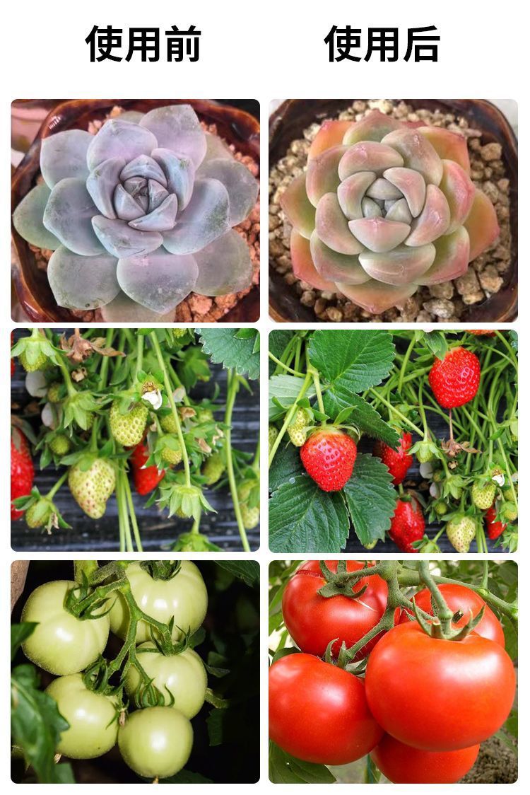 6b3deded-a906-4d97-83f2-e360d0e0d692.jpe