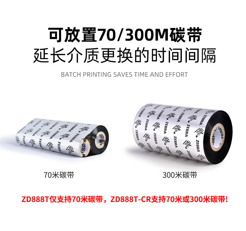 斑马_11.jpg