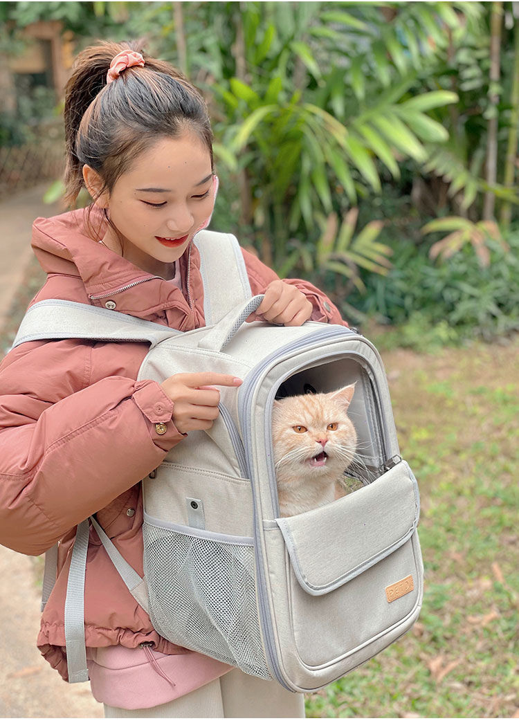 /O1CN018x50ep1nAxAZOxAMz_!!2219395865050-0-cib.jpg?x-oss-process=image/format,png