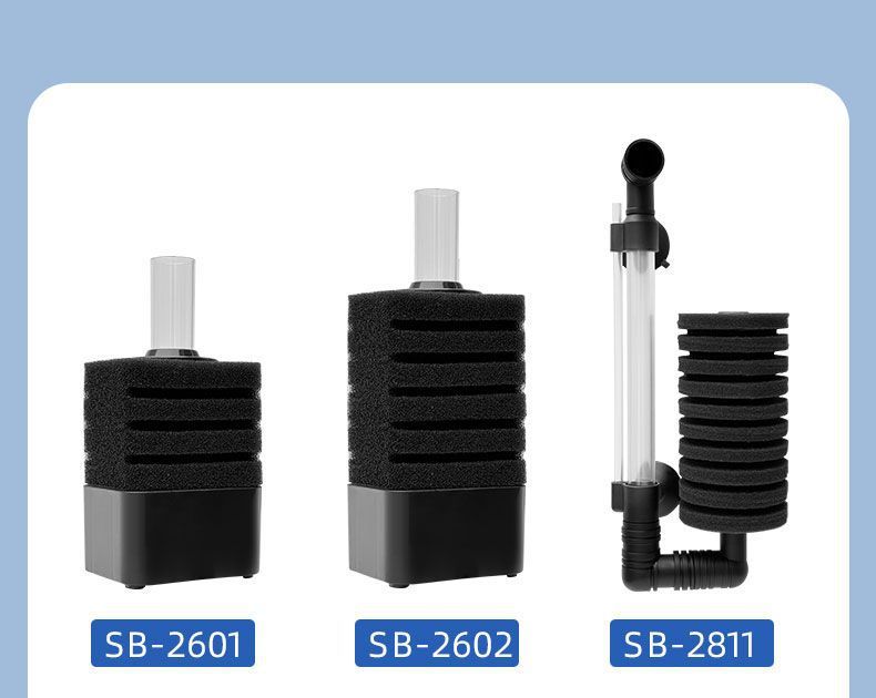 c9301bba-d32c-4ca7-b0b8-628c2267ca69.jpe