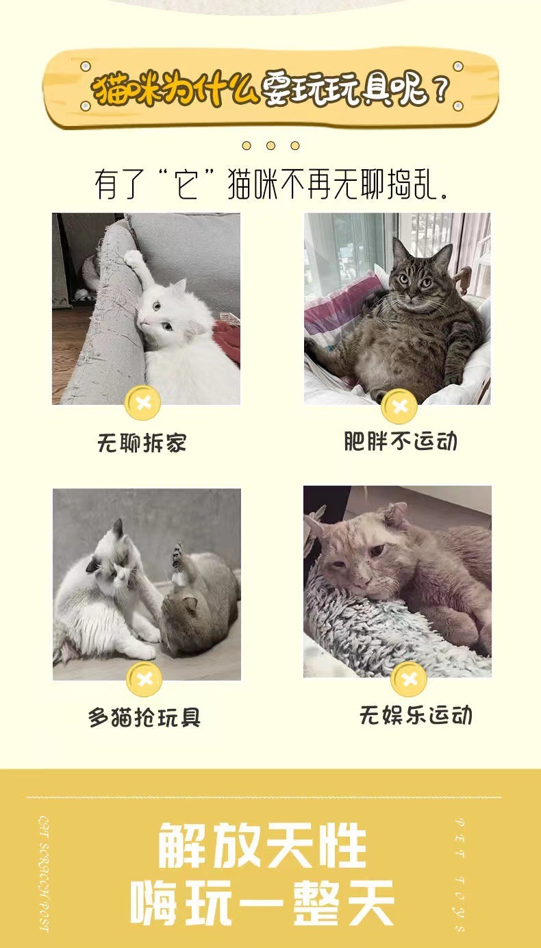 d533dee1-5fb0-48b5-bf6e-8c93db34ccca.jpe