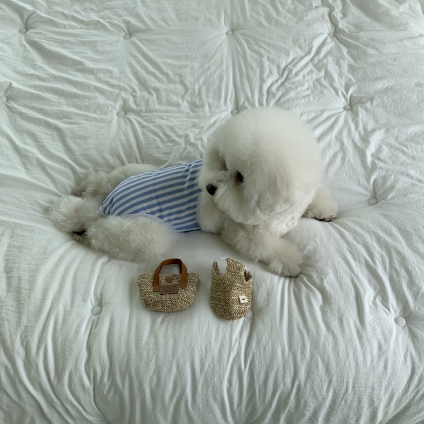 微信图片_20230530161801