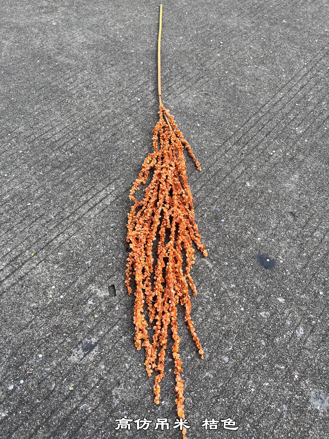 微信图片_20231030195629