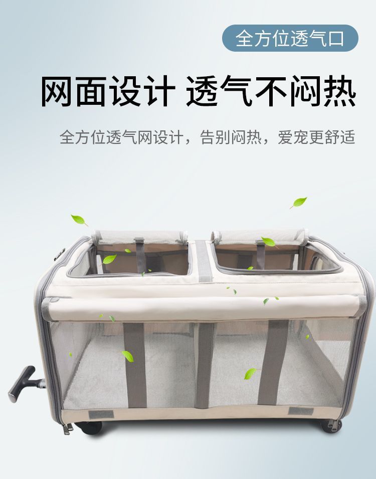 2279a118-af09-4e5b-be7b-8599f2686d7d.jpe