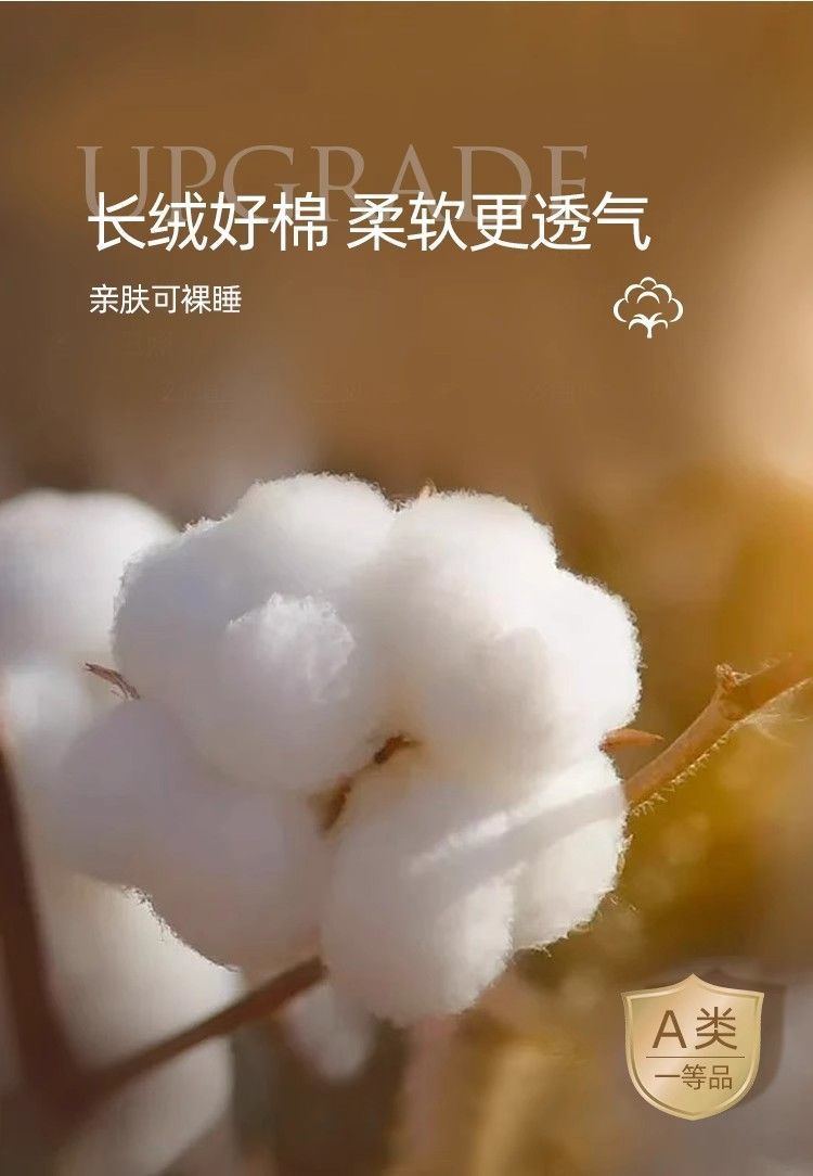 e9cbf791-eb35-47b8-9c33-2f505ed15b63.jpe