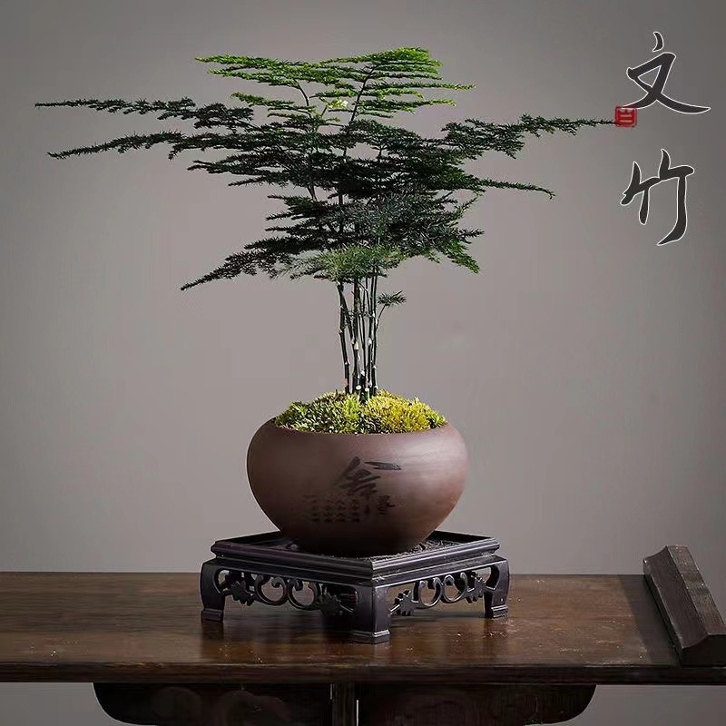 b3f3d9b3-8f0a-4188-ae45-fce92cca4ab0.jpe