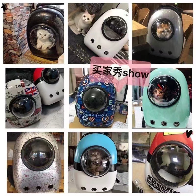6fd67ccd-7a8e-4a57-8b52-c5e8fea21c8d.jpe