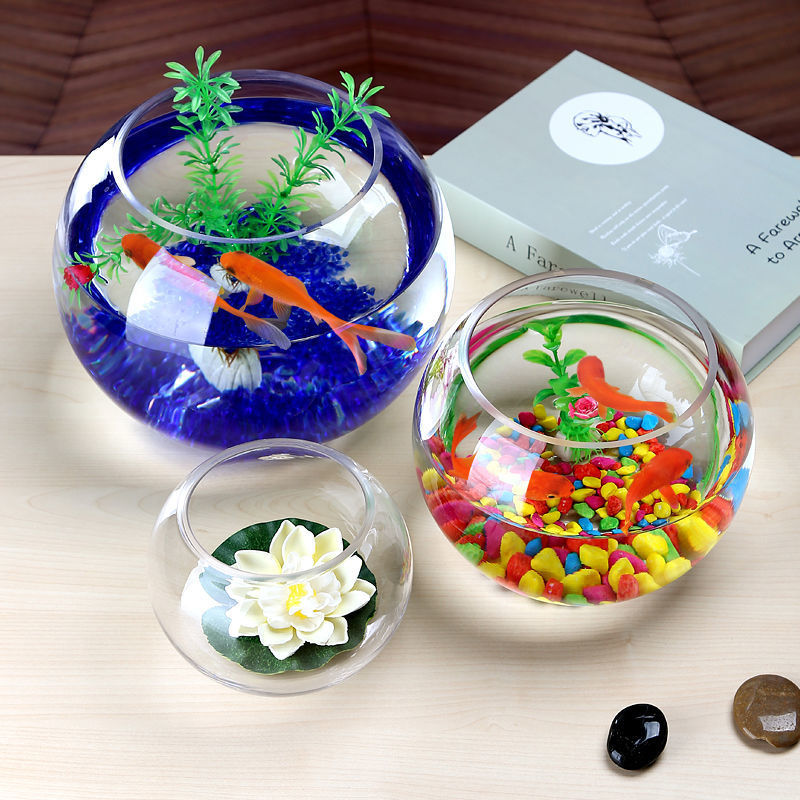 3174f7f0-2e2f-4870-b571-279afe0dbd52.jpe