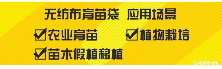 /O1CN0191MZ1s1XfbrIIfSNd_!!2219460012951-0-cib.jpg