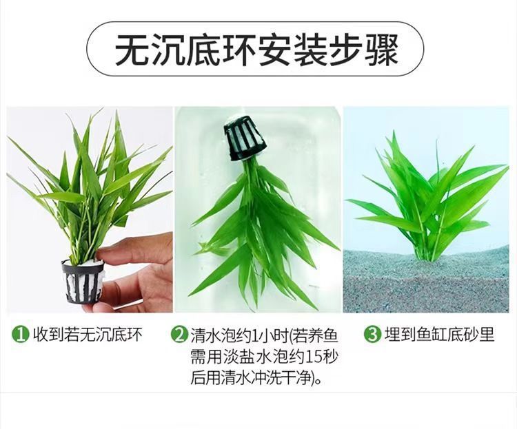 1d3117ff-6a95-4741-ae1f-1f480f83cc5b.jpe