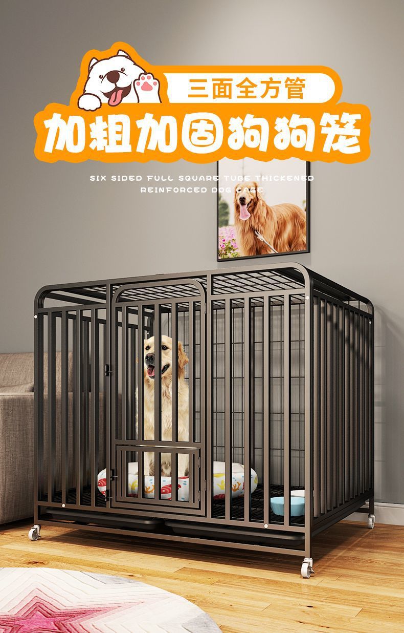 25908084-891c-4648-84ff-18030bc18c02.jpe