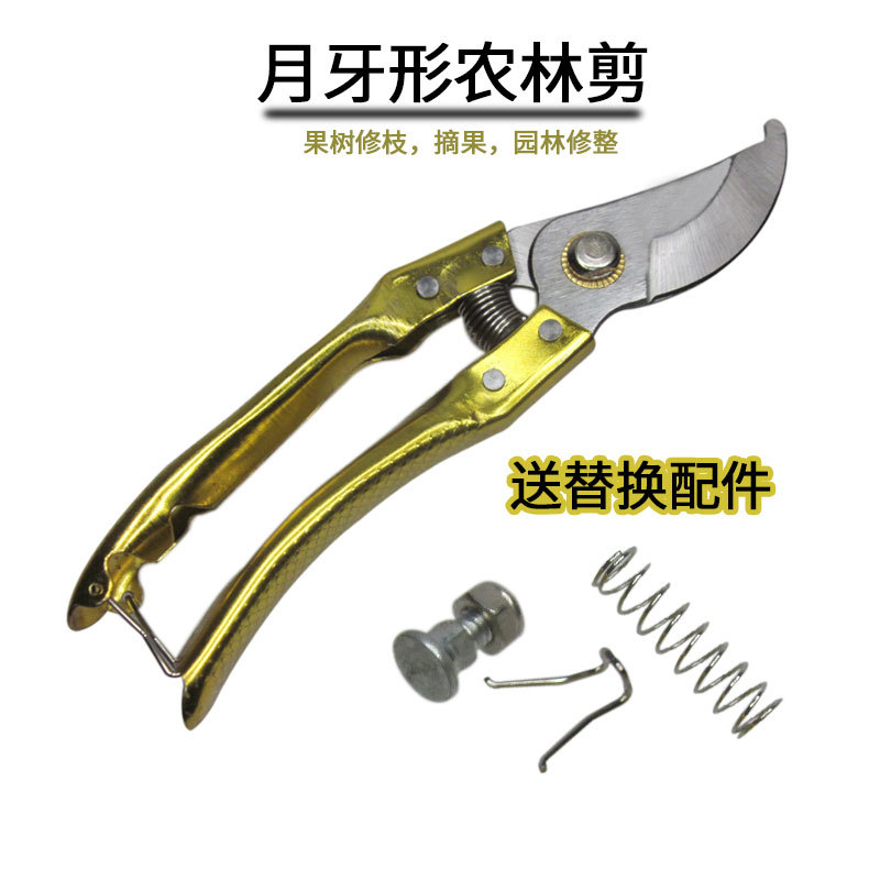 月牙形花枝剪