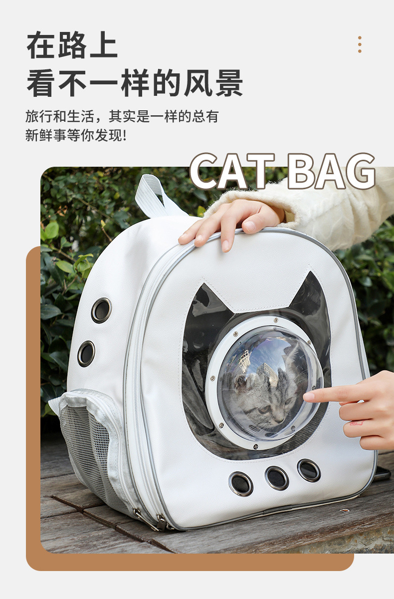 d268a36a-6d52-4a73-9c25-3f28b6a07a79.jpe