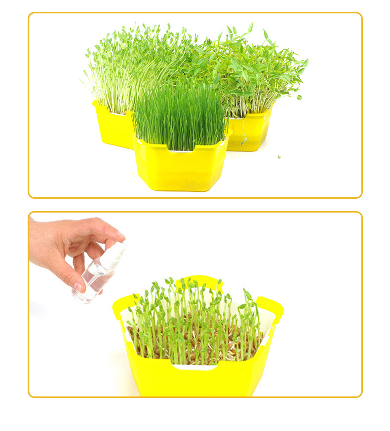 豆芽详情页_15.jpg?x-oss-process=image/format,png