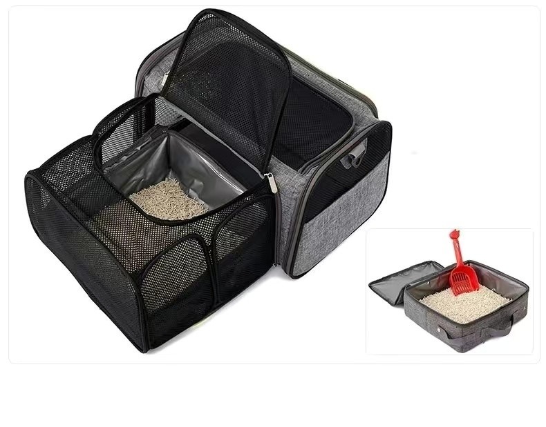 d934a771-3e51-4e72-ac7e-e532d1a2452f.jpe