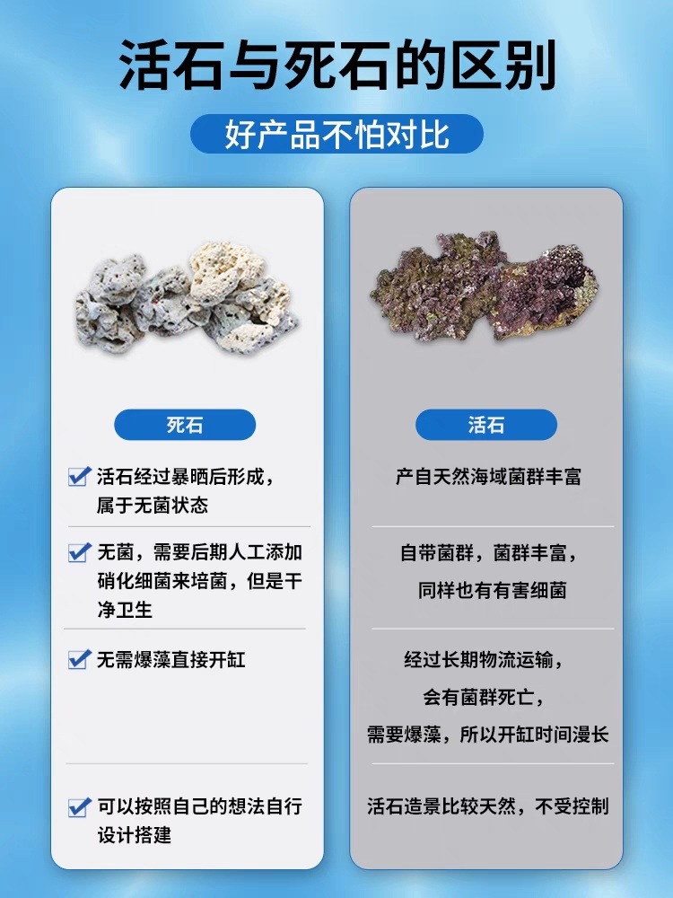 7b476b6e-f8dc-468b-a9b4-9e8eeaffaf69.jpe