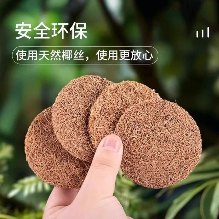 f25b97ef-87b9-4c60-89c3-ab3aa4ff3d7a.jpe