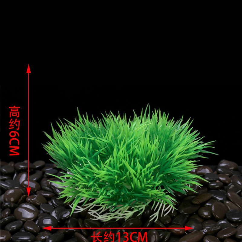 FZSC023.jpg