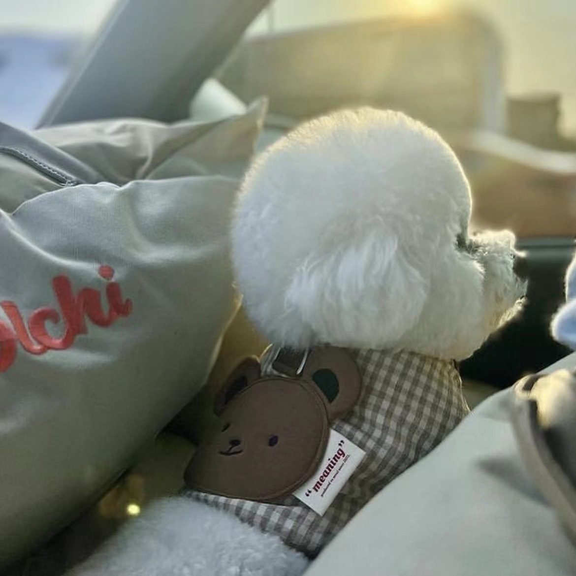 微信图片_20221007221549