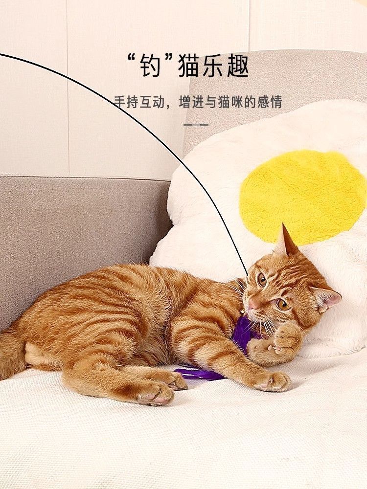 c52127a8-7bac-46cc-b8e1-3ef5adc343a6.jpe