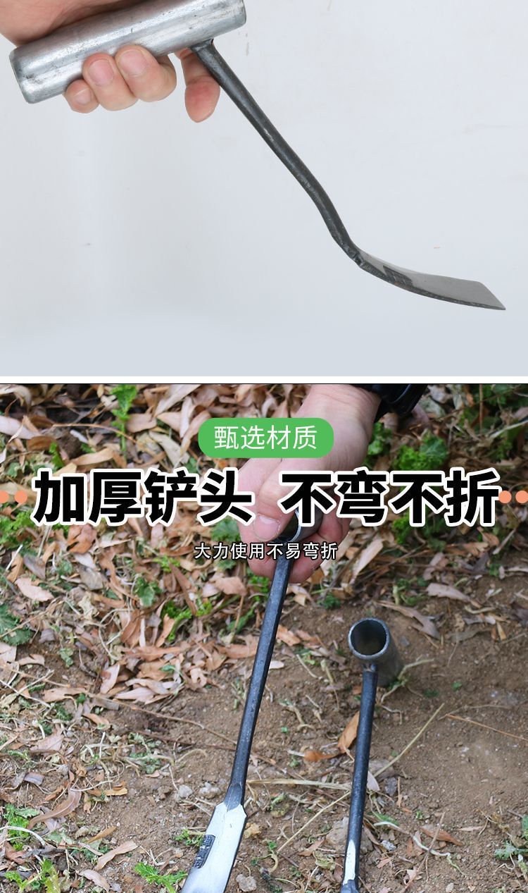 8d439534-b965-410d-a595-e88f209f1f95.jpe