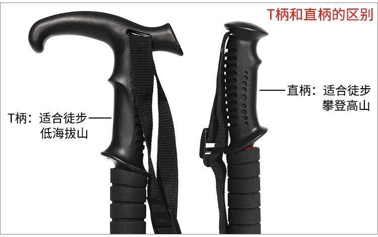 6bb20ccd-9f76-40b4-842b-1ea44ec5bc96.jpe