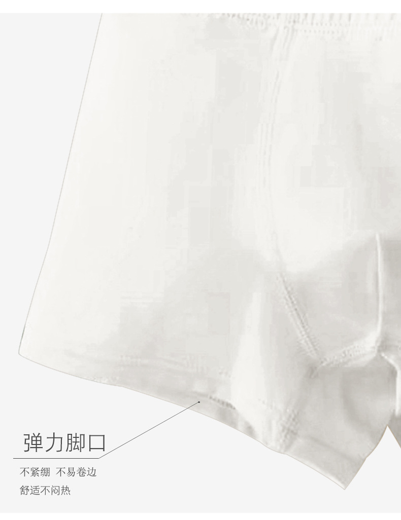 复制_莎腾2025新款男童内裤.jpeg