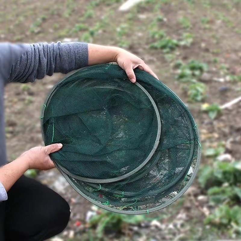 d6fe8538-c883-4cad-8d12-d7b58b60b0b1.jpe