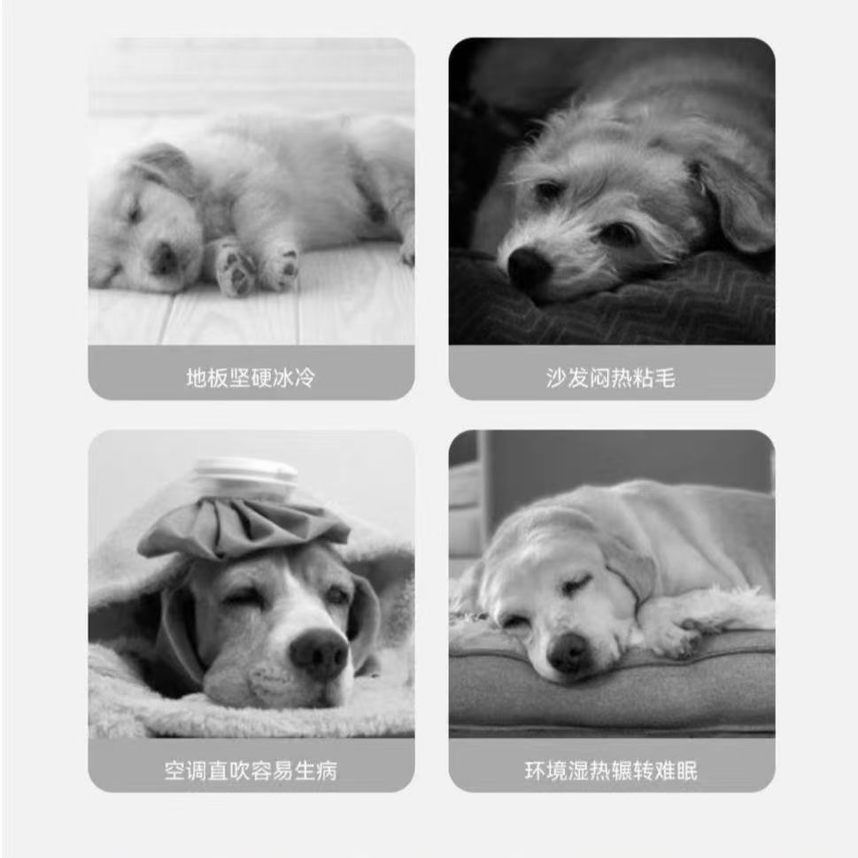 d5b88604-9100-41be-8d77-03c0540e4d9f.jpe