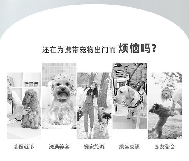 2391d169-e8c8-4f86-9810-6c7d9c613766.jpe