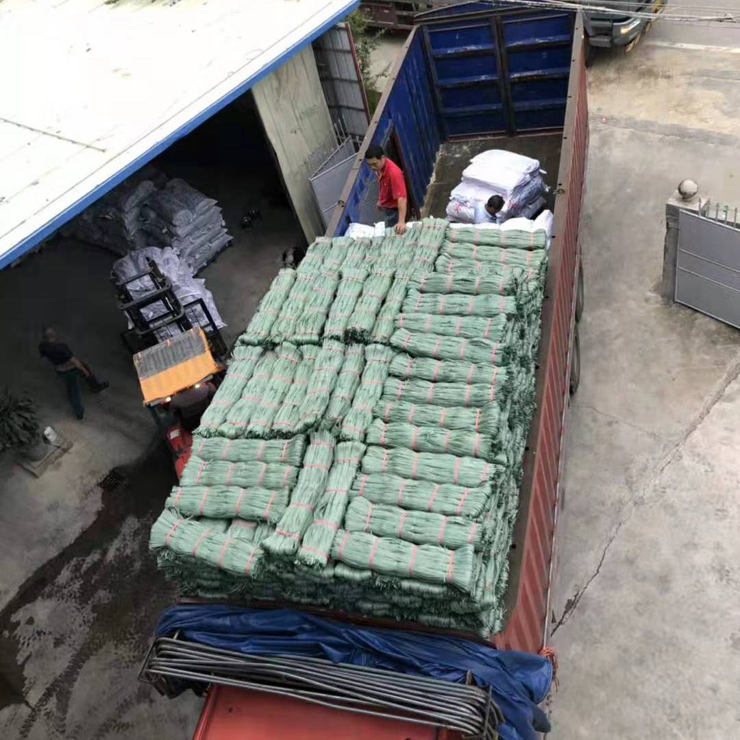 10 (1)