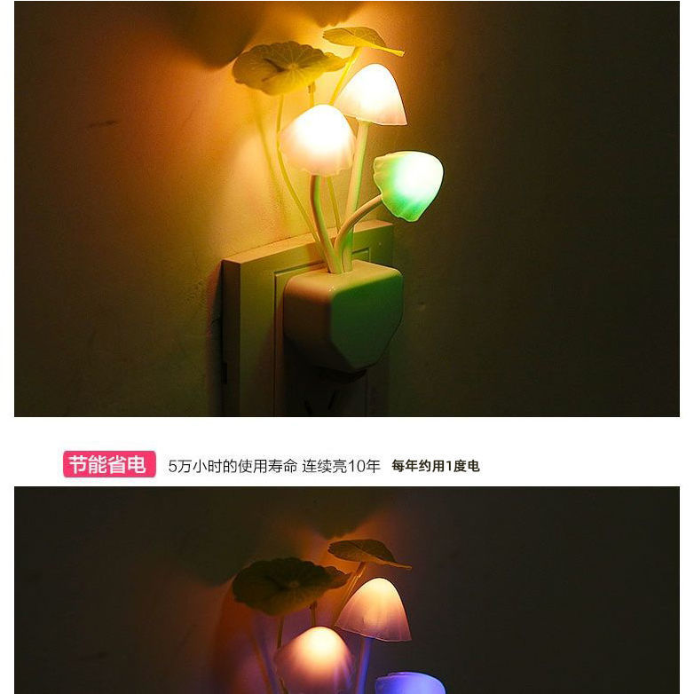 61f66694-1bb2-4e9e-b513-2ec3fc372b36.jpe